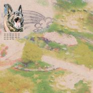 feeble little horse, Girl With Fish [Opaque Pink Vinyl] (LP)