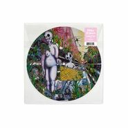 Indigo De Souza, Any Shape You Take [Picture Disc] (LP)