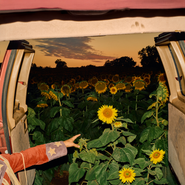 Kevin Morby, Little Wide Open [Eco-Mix Color Vinyl] (LP)