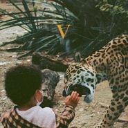 Unknown Mortal Orchestra, V [Golden Nugget Vinyl] (LP)