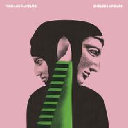 Teenage Fanclub, Endless Arcade [Translucent Pink Vinyl] (LP)