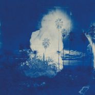 Fruit Bats, A River Running To Your Heart [Opaque Blue & Bone Colored Vinyl] (LP)