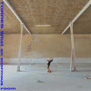 Torres, What an enormous room [Blue Jay Blue & White Vinyl] (LP)