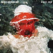 Pale Jay, Bewilderment (LP)