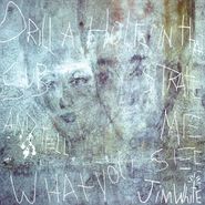 Jim White, Drill A Hole In That Substrate & Tell Me What You See [20th Anniversary Edition] (LP)