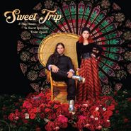 Sweet Trip, A Tiny House, In Secret Speeches, Polar Equals (Cover Option A) (CD)