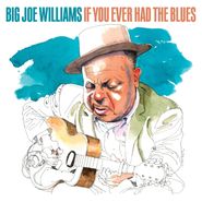 Big Joe Williams, If You Ever Had The Blues (CD)