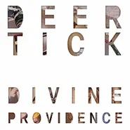 Deer Tick, Divine Providence [11th Anniversary Deluxe Edition] (LP)