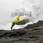 Tyler Ramsey, New Lost Ages (LP)
