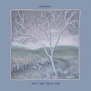 Jeanines, Don't Wait For A Sign [Light Blue Vinyl] (LP)