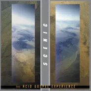 Scenic, The Acid Gospel Experience [Record Store Day Ice Green Vinyl] (LP)