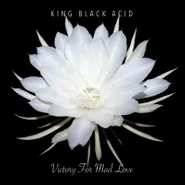 King Black Acid, Victory For Mad Love [Record Store Day] (LP)