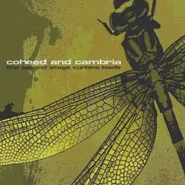 Coheed And Cambria, The Second Stage Turbine Blade [Yellow/Purple Split Vinyl] (LP)