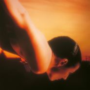 Porcupine Tree, On The Sunday Of Life (LP)