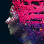 Steven Wilson, Hand.Cannot.Erase (LP)