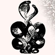 Bardo Pond, Volume 4 & 5 (LP)