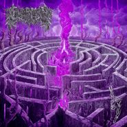 Civerous, Maze Envy [Color Vinyl] (LP)