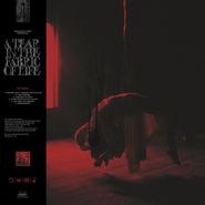 Knocked Loose, Tear In The Fabric Of Life [Clear w/Red & Black Splater] (LP)