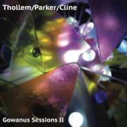 Thollem McDonas, Gowanus Sessions II (LP)