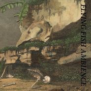 Rainforest Spiritual Enslavement, Flying Fish Ambience (CD)