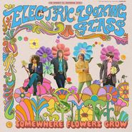 Electric Looking Glass, Somewhere Flowers Grow (LP)