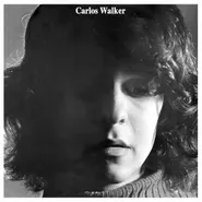 Carlos Walker, A Frauta De Pã (CD)