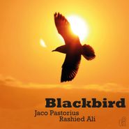 Jaco Pastorius, Blackbird [180 Gram Yellow Vinyl] (LP)