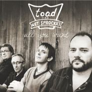 Toad The Wet Sprocket, All You Want - Best Of (CD)