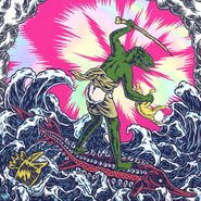 King Gizzard And The Lizard Wizard, Teenage Gizzard (CD)