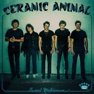 Ceramic Animal, Sweet Unknown [Blue Smoke Vinyl] (LP)
