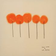 L.S. Dunes, Past Lives [Orange Vinyl] (LP)