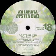 A Psychic Yes, Maze Dream EP (12")