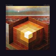 Black Mountain, In The Future (LP)