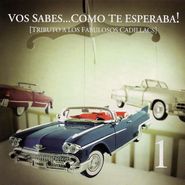 Various Artists, Tribute To Los Fabulosos Cadillacs: Vos Sabes Como Te Esperaba (CD)