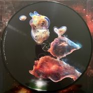 Björk, Cosmogony [Record Store Day Picture Disc] (12")