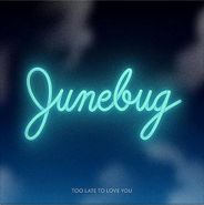 Junebug, Too Late To Love You [Limited Edition, Translucent Teal Vinyl] (LP)