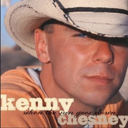 Kenny Chesney, When The Sun Goes Down (Limited Edition) (CD)