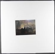 Marissa Nadler, For My Crimes [Dove & Crow Vinyl] (LP)