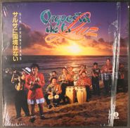 Orquesta De La Luz, Sin Fronteras (LP)
