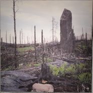 Pauline Oliveros, Primordial / Lift [Purple Translucent Vinyl] (LP)
