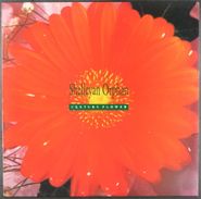 Shelleyan Orphan, Century Flower (LP)