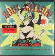 Soul Asylum, While You Were Out (LP)
