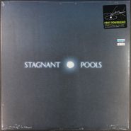 Stagnant Pools, Temporary Room (LP)