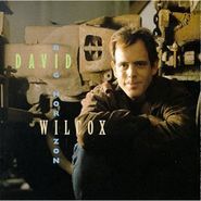 David Wilcox, Big Horizon (CD)