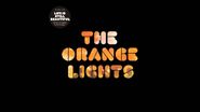 Orange Lights, Life Is Still Beautiful (CD)