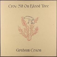 Graham Coxon, Crow Sit On Blood Tree [2001 2LP Transcopic UK Issue](LP)