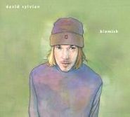 David Sylvian, Blemish (CD)