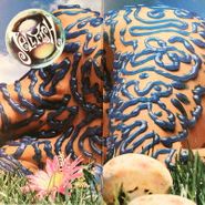 Jellyfish, Bellybutton (LP)