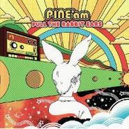 PINE*am, Pull The Rabbit Ears (CD)