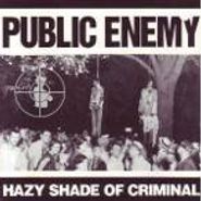 Public Enemy, Hazy Shade of Criminal (CD)
